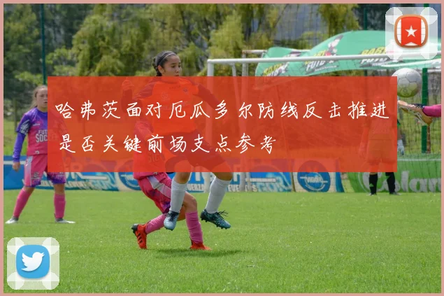 哈弗茨面对厄瓜多尔防线反击推进是否关键前场支点参考