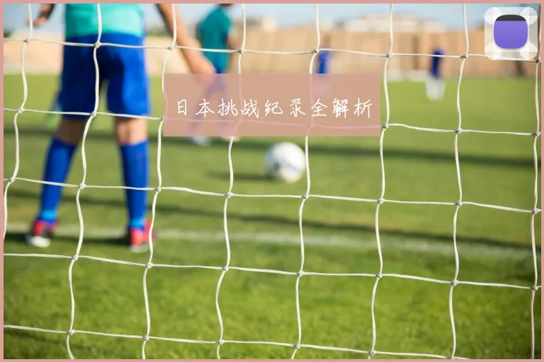 日本挑战纪录全解析