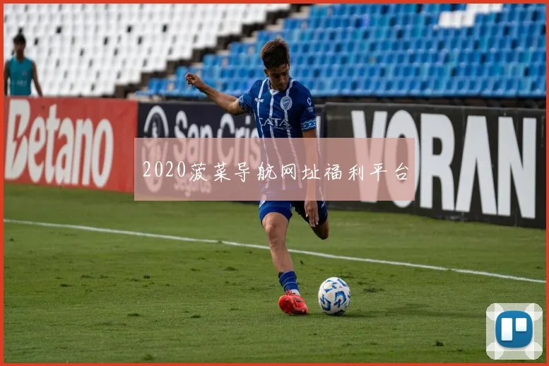 2020菠菜导航网址福利平台