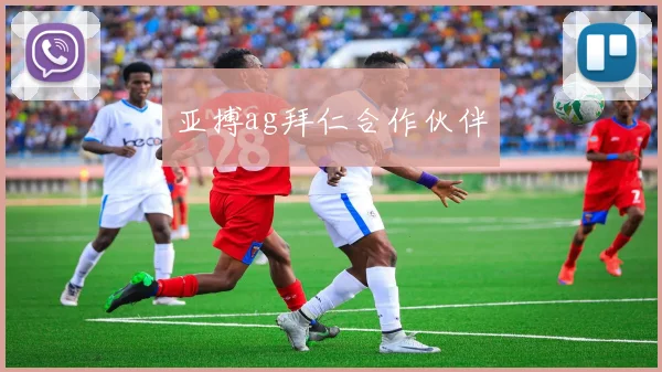 亚搏ag拜仁合作伙伴
