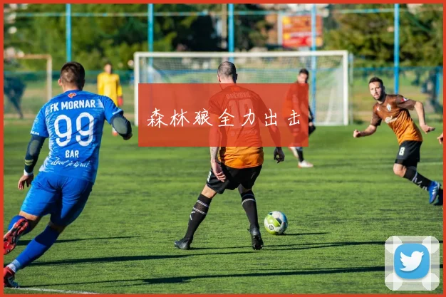 森林狼全力出击