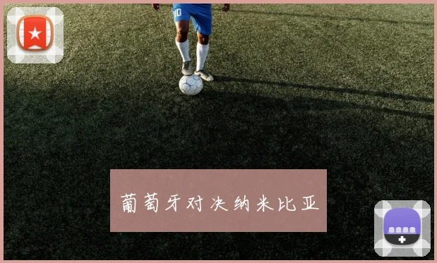 葡萄牙对决纳米比亚