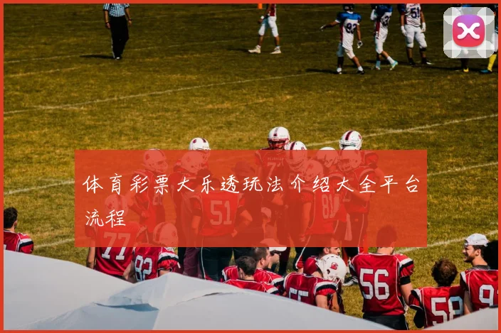 体育彩票大乐透玩法介绍大全平台流程