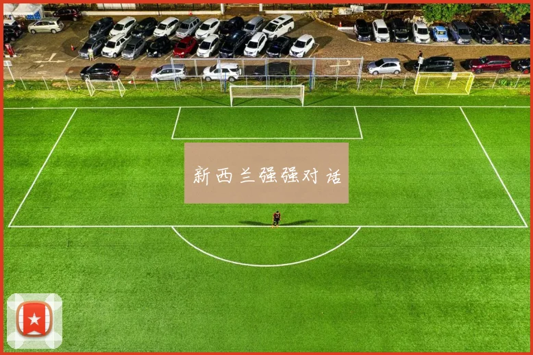 新西兰强强对话