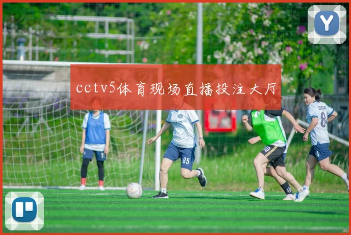 cctv5体育现场直播投注大厅
