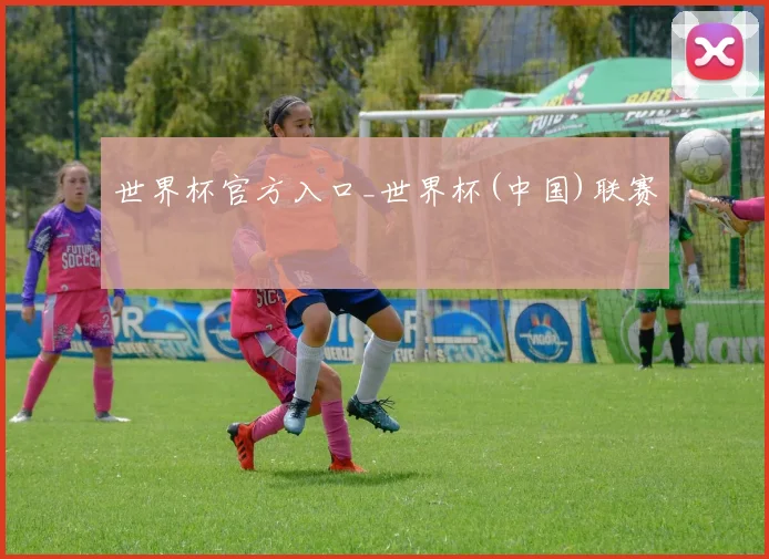 世界杯官方入口_世界杯(中国)联赛