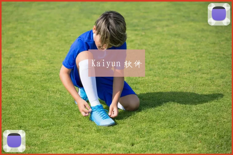 Kaiyun 软件