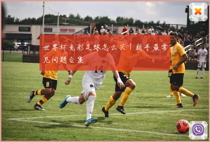 世界杯竞彩足球怎么买｜新手最常见问题合集