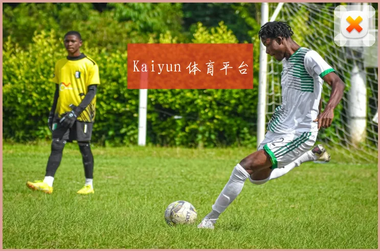 Kaiyun 体育平台