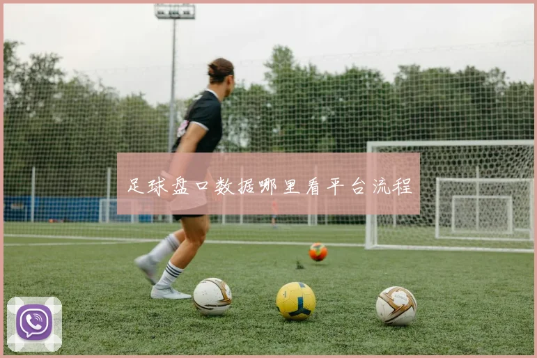 足球盘口数据哪里看平台流程