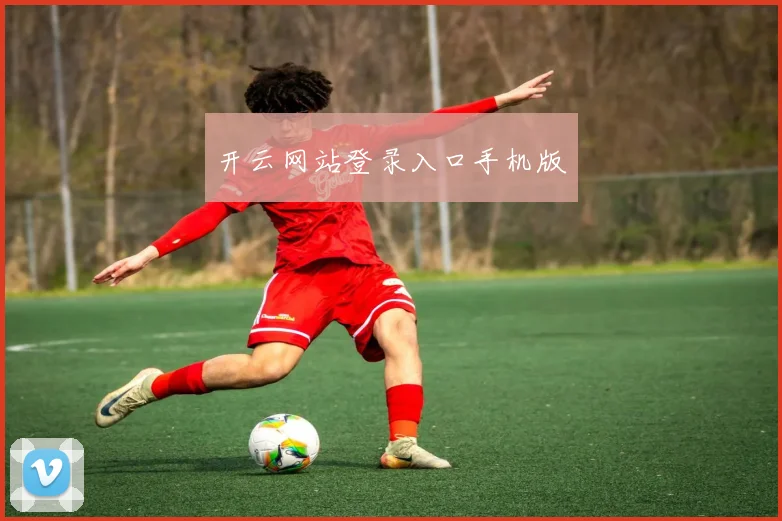 开云网站登录入口手机版