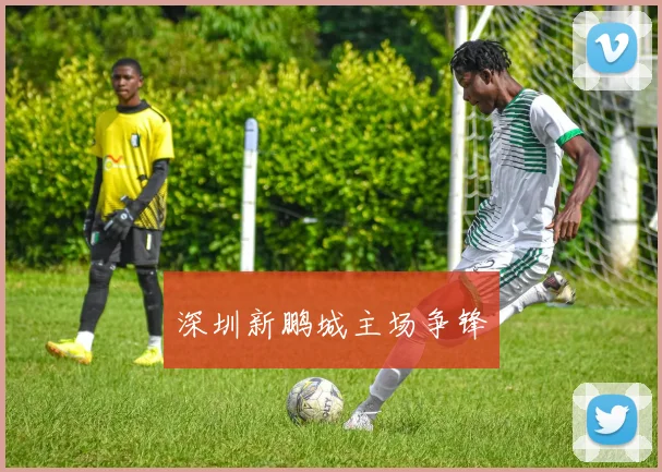 深圳新鹏城主场争锋