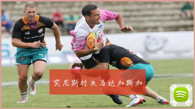 突尼斯对决马达加斯加