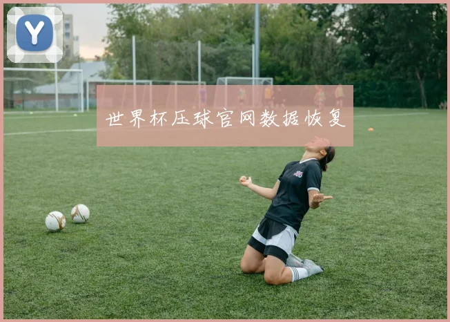 世界杯压球官网数据恢复