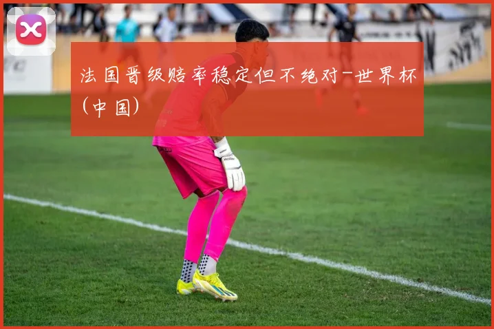 法国晋级赔率稳定但不绝对-世界杯(中国)