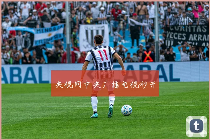 央视网中央广播电视秒开