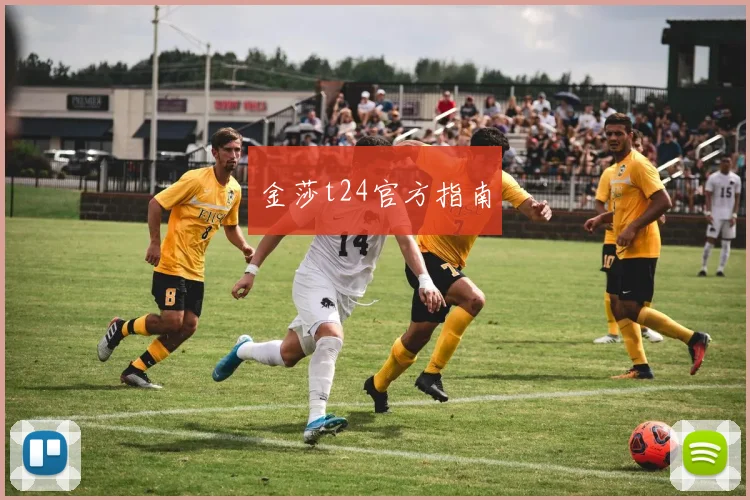 金莎t24官方指南