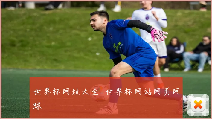 世界杯网址大全_世界杯网站网页网球