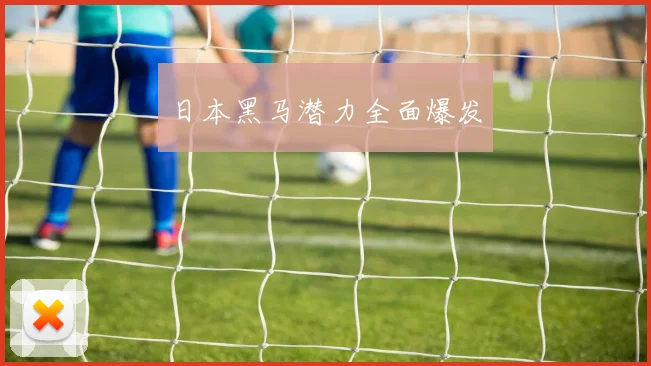 日本黑马潜力全面爆发