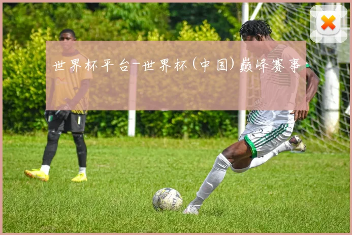 世界杯平台-世界杯(中国)巅峰赛事