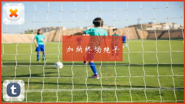 加纳终场绝平