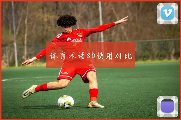 体育术语sb使用对比