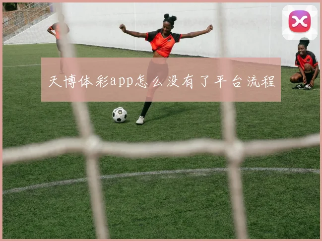 天博体彩app怎么没有了平台流程