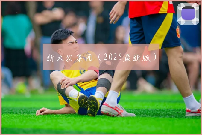 新大发集团（2025最新版）