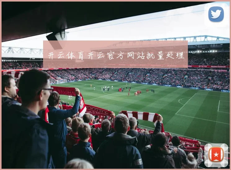 开云体育开云官方网站批量处理