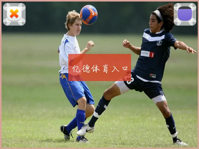 亿德体育入口