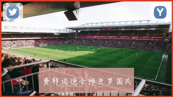 费耶诺德会师开罗国民