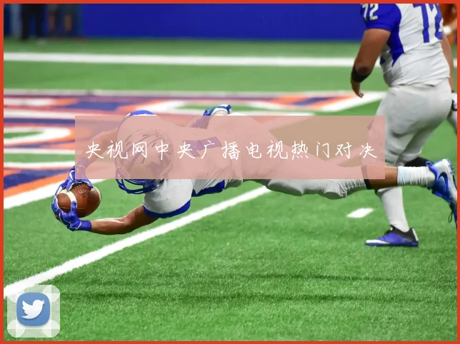 央视网中央广播电视热门对决