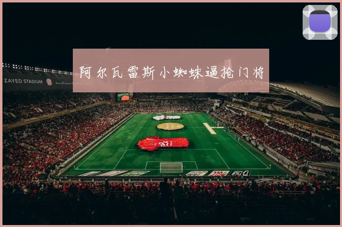 阿尔瓦雷斯小蜘蛛逼抢门将