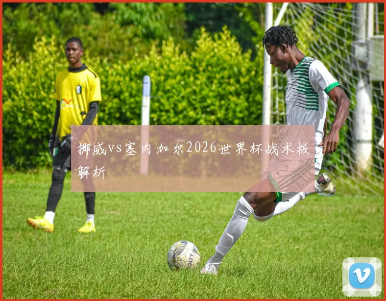 挪威vs塞内加尔2026世界杯战术板解析