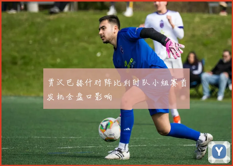 贾汉巴赫什对阵比利时队小组赛首发机会盘口影响