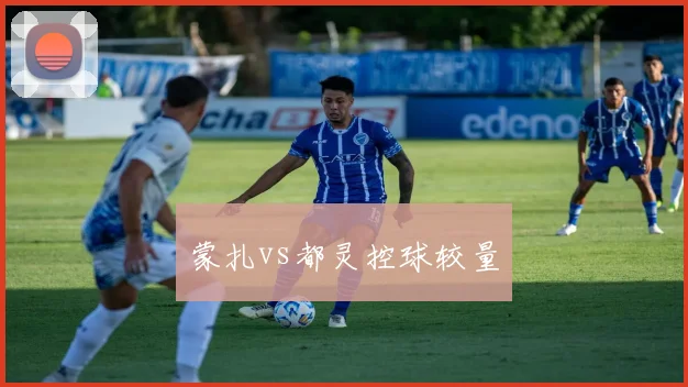蒙扎vs都灵控球较量