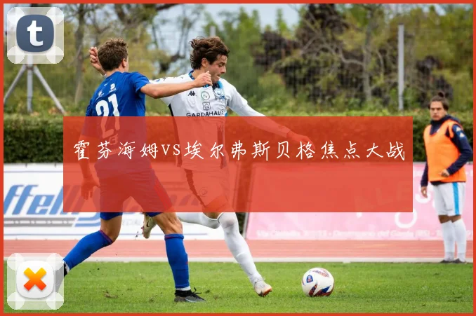 霍芬海姆vs埃尔弗斯贝格焦点大战